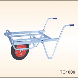 TC1009