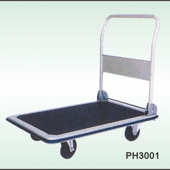 PH3001 - 501